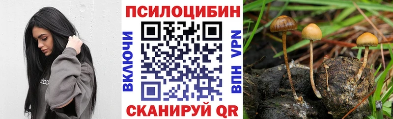 Псилоцибиновые грибы Magic Shrooms  Петрозаводск 